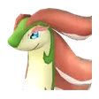 Broncherry Pal icon